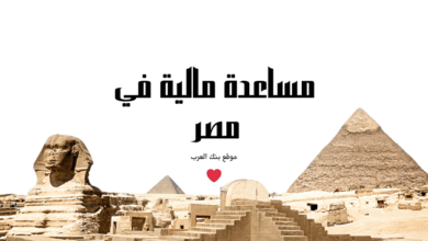 عايز فلوس 10.000؟ ادخل دلوقتي مساعدة مالية في مصر