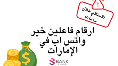 رد فوري والاستلام بعد 3 ساعات ..ارقام فاعلين خير واتس اب في الإمارات