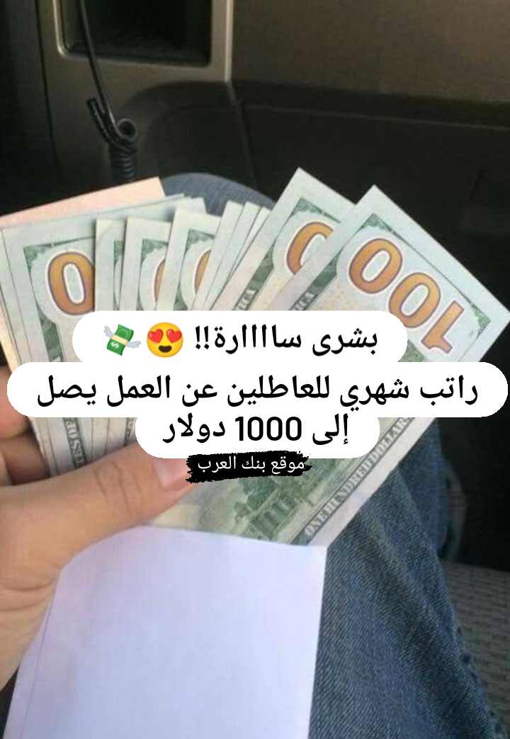 بشرى سارة... نعلن عن توفير راتب شهري للعاطلين عن العمل يصل إلى 1000 دولار