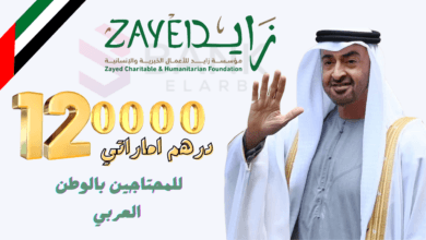 رقم الشيخ محمد بن زايد