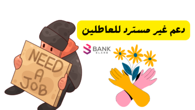 كيفية الحصول على دعم غير مسترد 2026 ..اقوي 3 جهات مانحة للمشاريع 3 دعم غير مسترد للعاطلين
