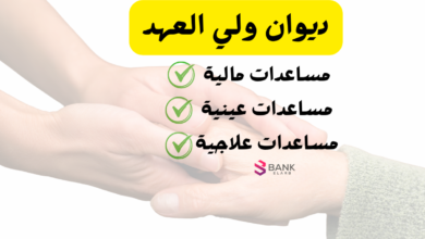 طريقة تقديم معروض طلب مساعدة لـ ديوان ولي العهد